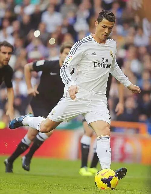 上海队的金 上海队的金