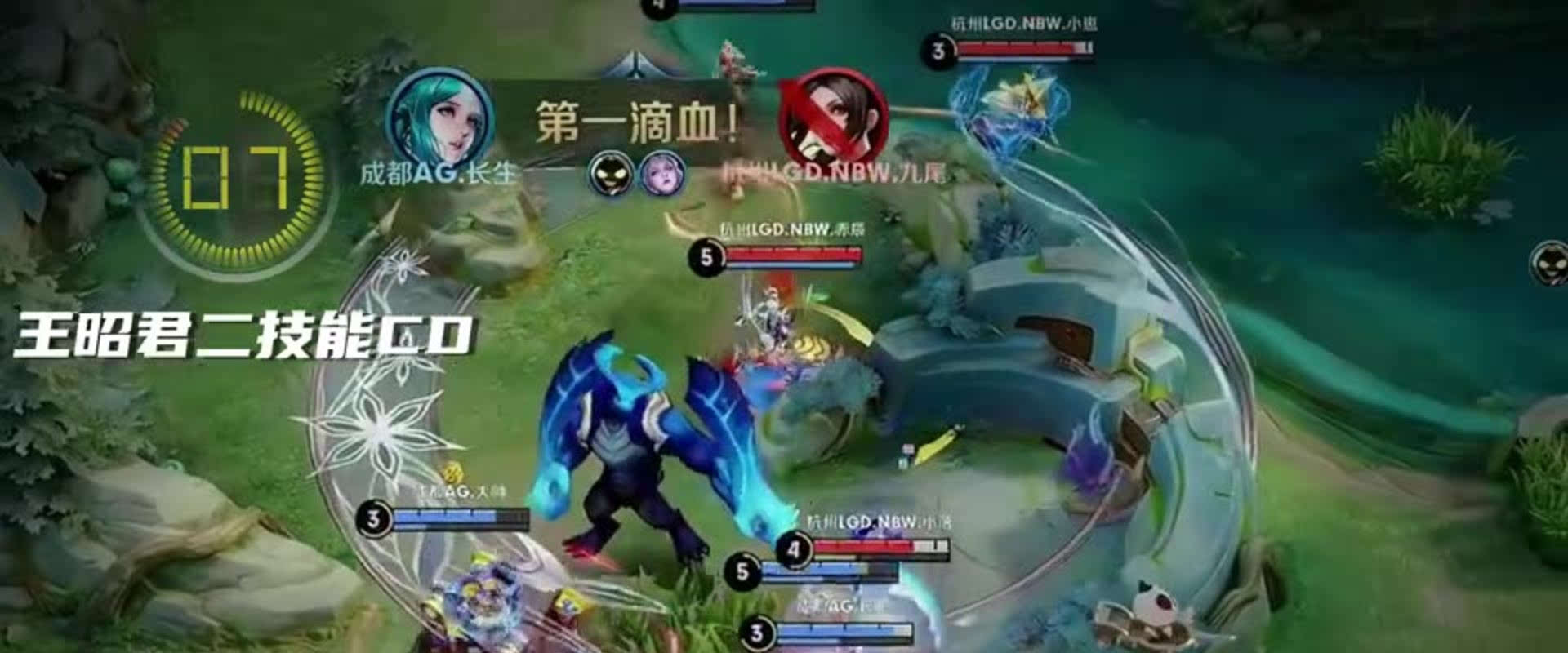 险承担